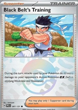 Black Belt's Training