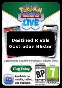 Live Code Card